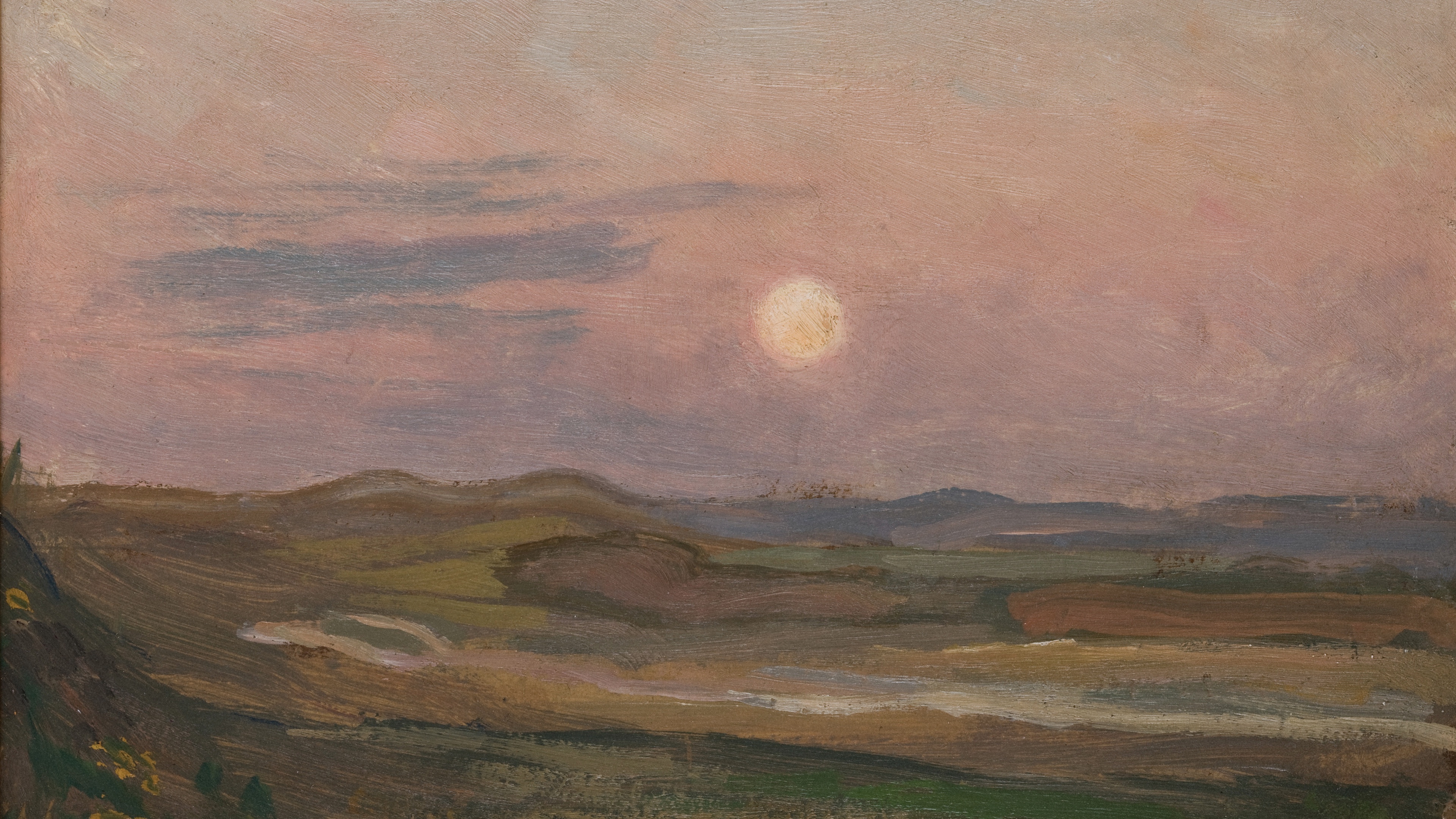 Dusty Rose Horizon